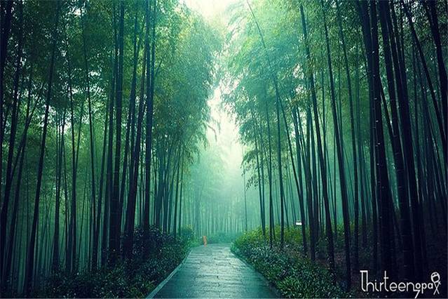 南山竹海文化博物馆