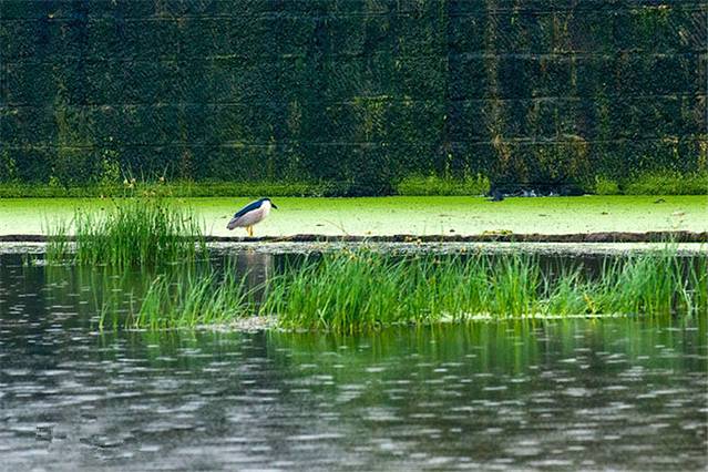 太公湖生态文化园