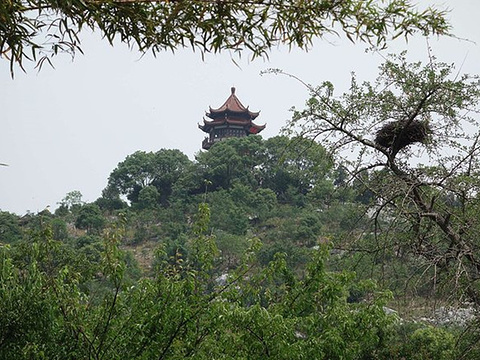 驾浮阁旅游景点图片