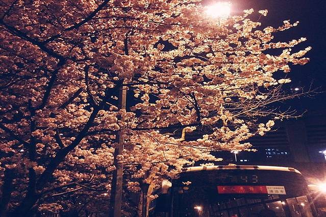 南浦大桥浦西公交枢纽站