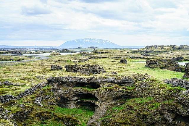 Fuglasafn Sigurgeirs