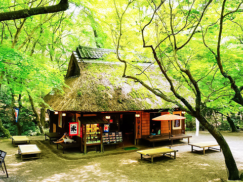 水谷茶屋