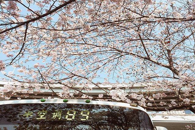 南浦大桥浦西公交枢纽站