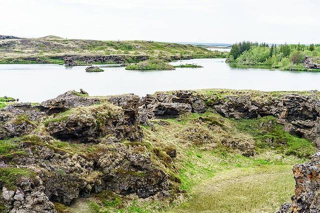 Fuglasafn Sigurgeirs