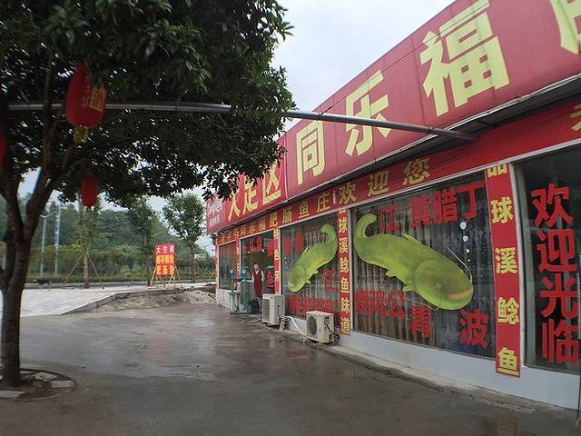 同乐福肥肠鱼庄