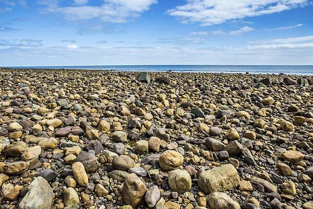 Hallett Cove Conservation Park