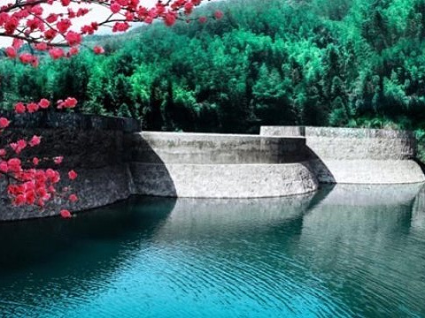五龙源四季花谷景区