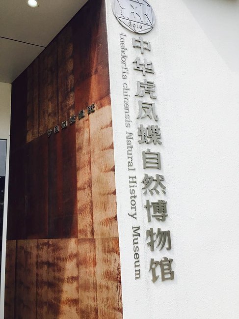 中华虎凤蝶自然博物馆
