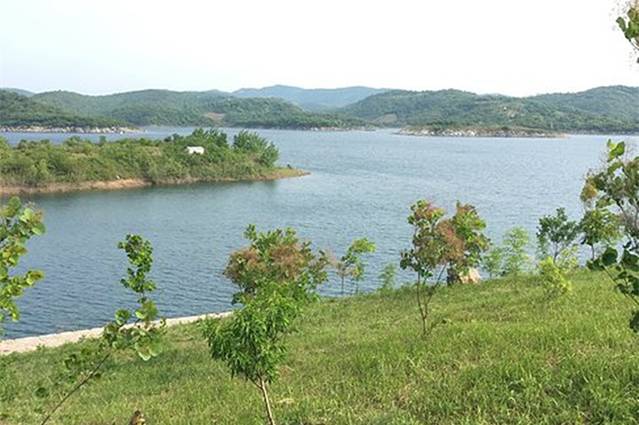 丹江口小太平洋