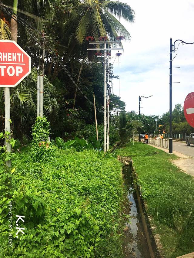 K.K.阳光沙滩·沙巴亚庇6日最新游记&攻略