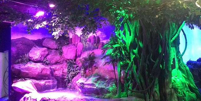 宜宾海昌海洋探索馆