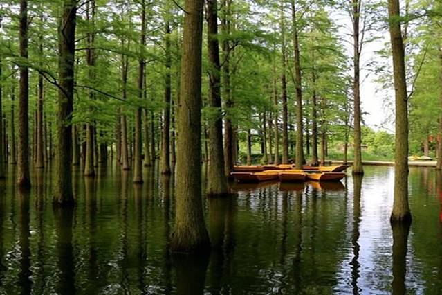 渌洋湖湿地公园