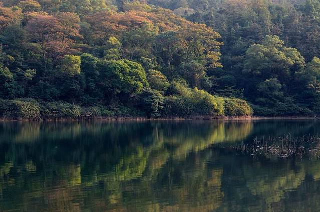 湖南天鹅山国家森林公园