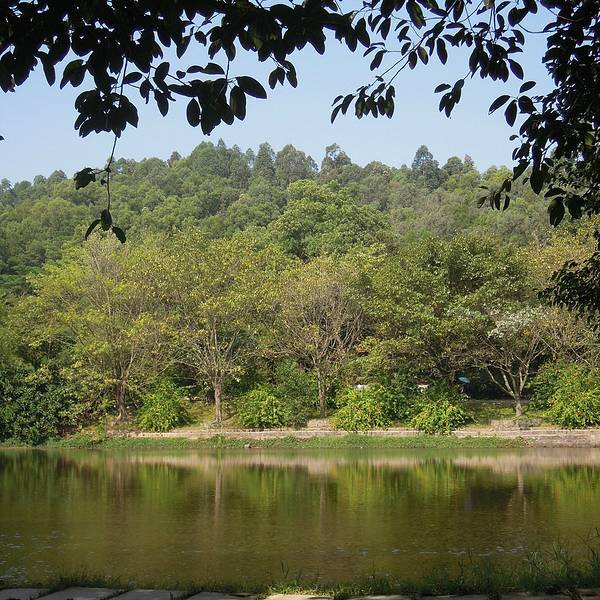 2019大夫山森林公园门票,广州大夫山森林公园