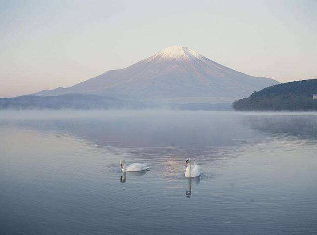湖南天鹅山国家森林公园