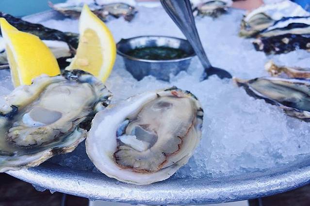 Hog Island Oyster Co