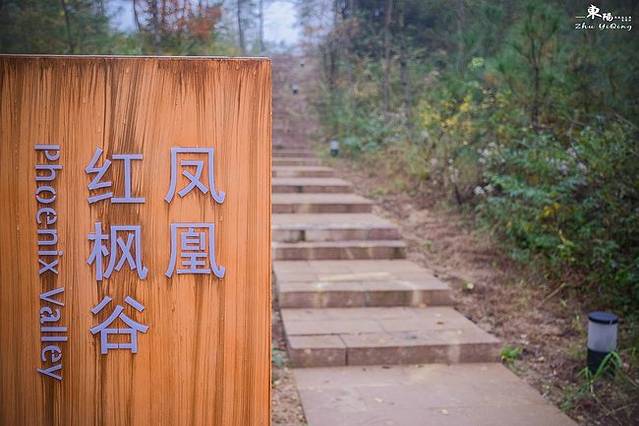 东阳凤凰谷