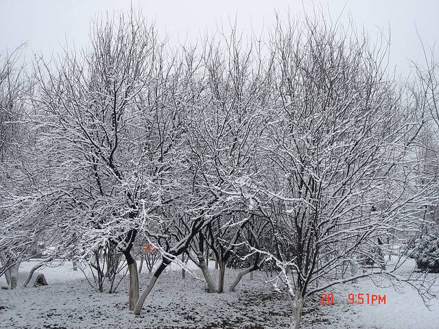 中国科学技术大学(东校区)