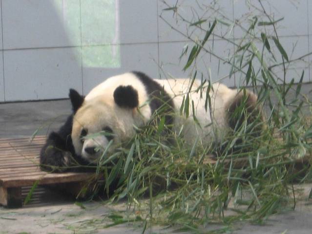 太原动物园