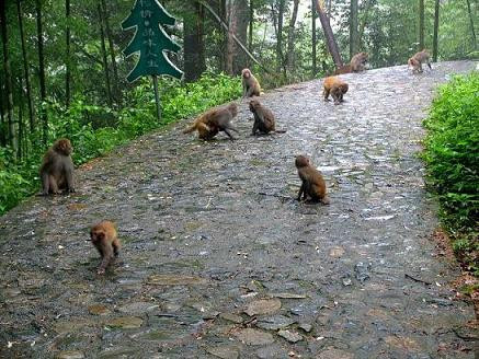 牛姆林生态旅游区