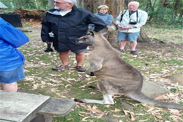 特罗瓦那野生动物园