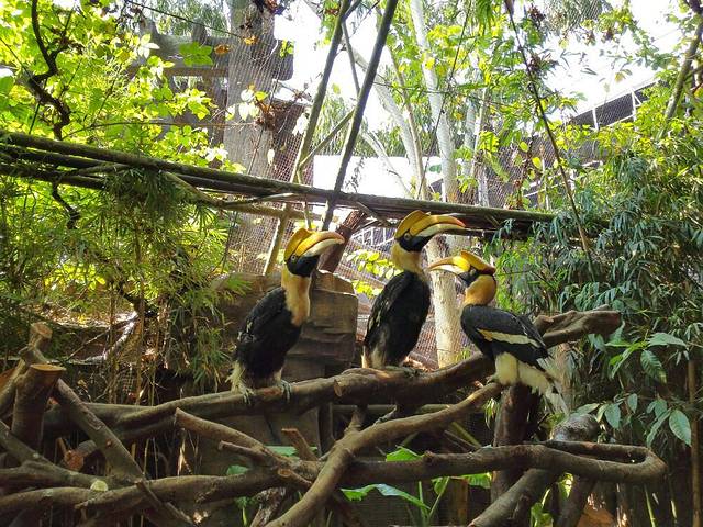 长鹿旅游休博园