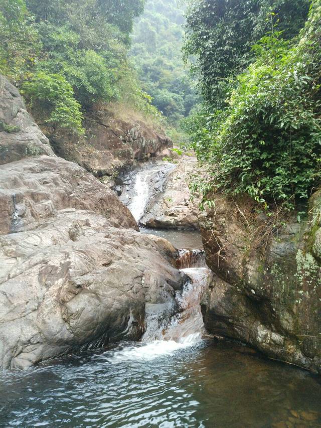 银瓶山森林公园-谢岗景区