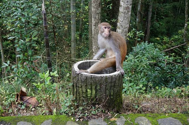 牛姆林生态旅游区