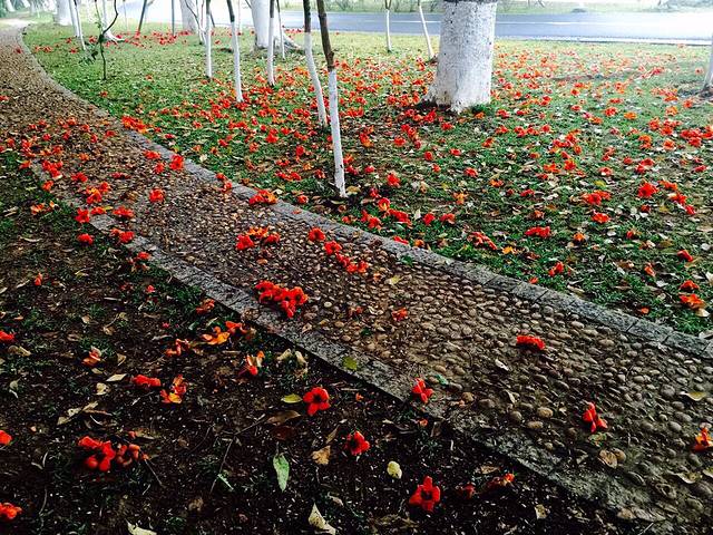 松山湖生态景区