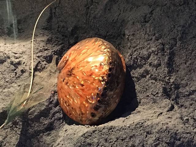 北海贝雕博物馆