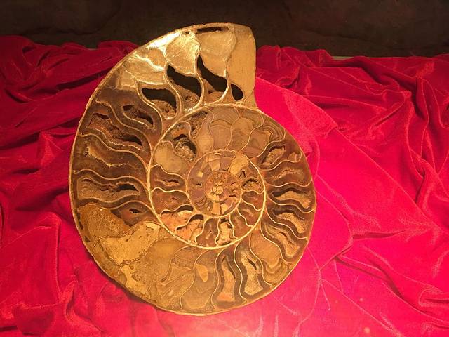 北海贝雕博物馆