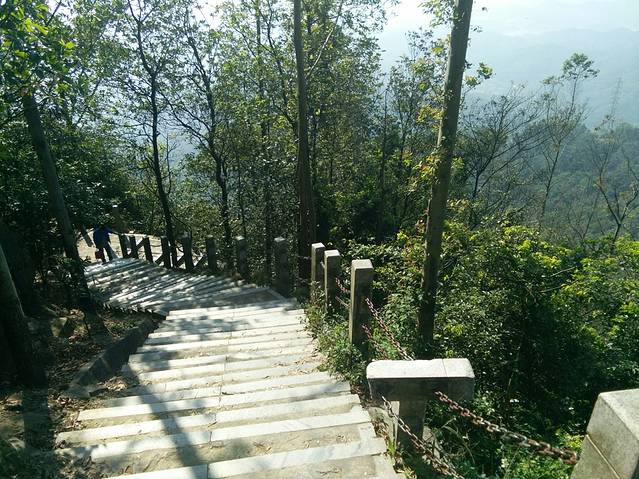 莲花山郊野公园