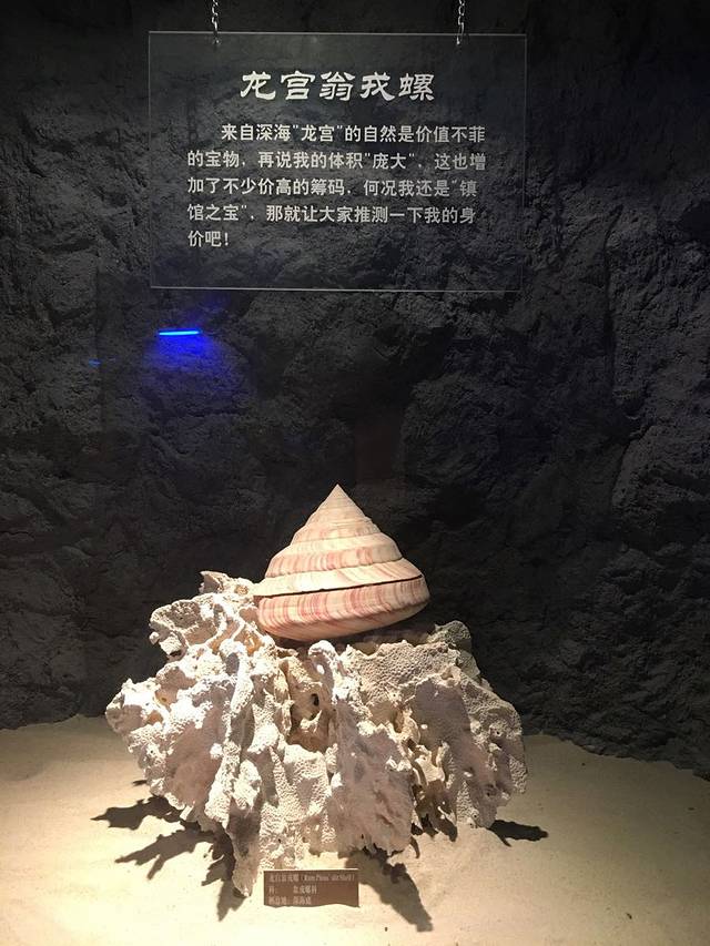 北海贝雕博物馆