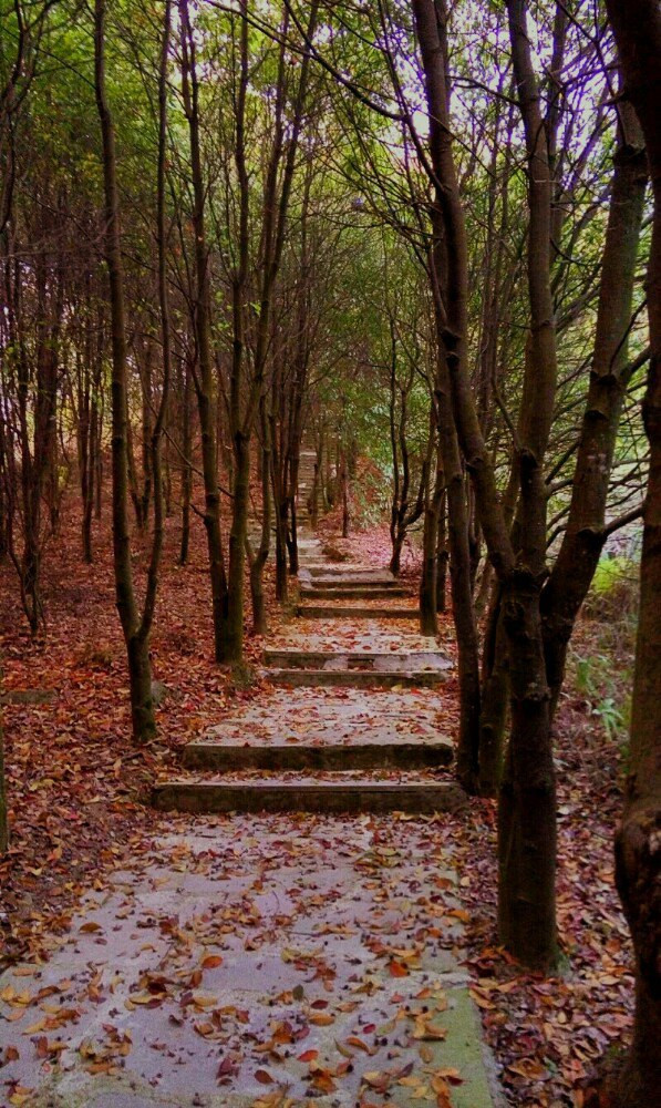 安溪凤山风景旅游区