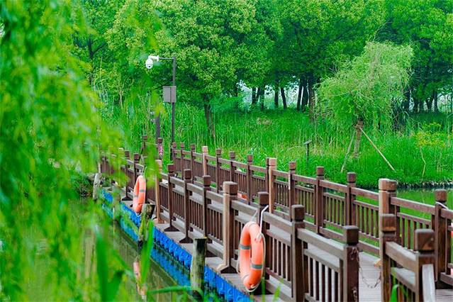 白塔湖国家湿地公园