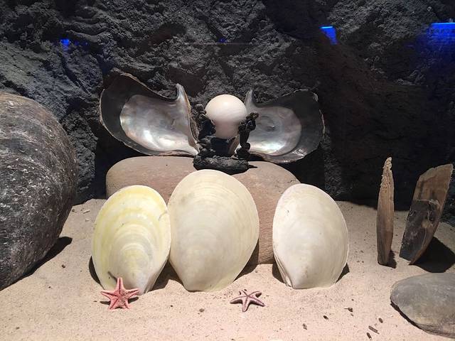 北海贝雕博物馆