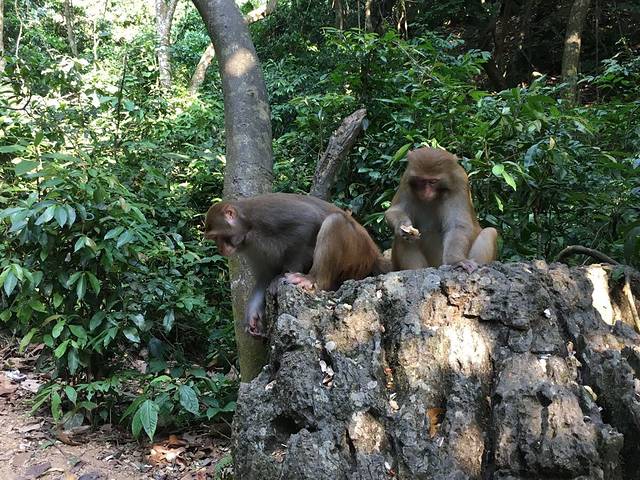 广西龙虎山风景区