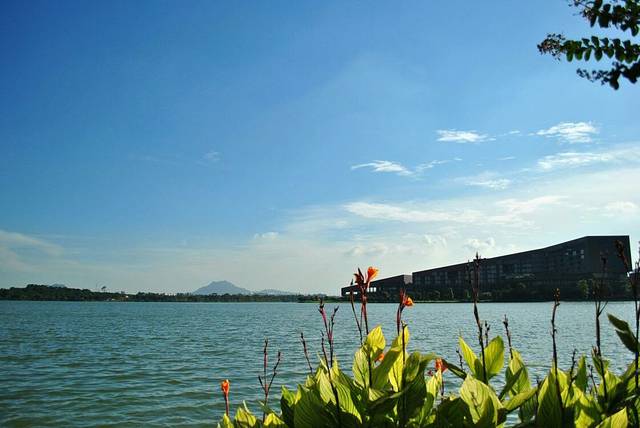 松山湖生态景区