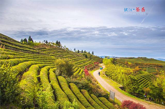 四明山国家森林公园