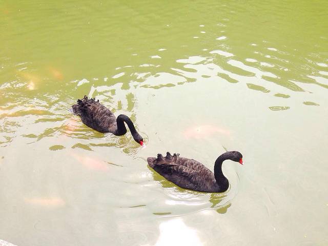 水濂山森林公园