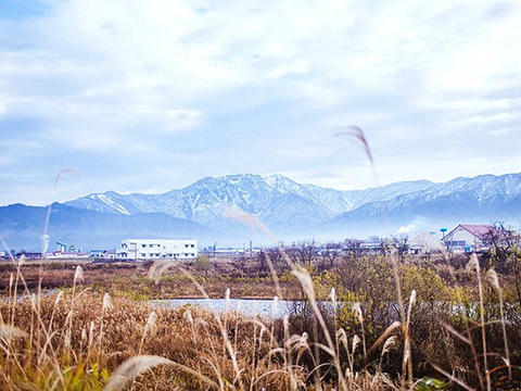 21八海山 旅游攻略 门票 地址 问答 游记点评 新潟旅游旅游景点推荐 去哪儿攻略
