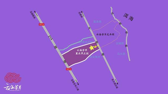 大理云海芳草薰衣草庄园