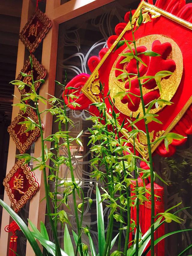 芷兰轩·早茶·粤菜(汇一城店)