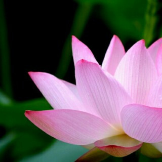 那家老院子(滑翔店)