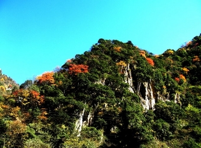 蜂桶寨邓池沟景区