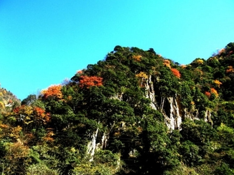 蜂桶寨邓池沟景区旅游景点图片