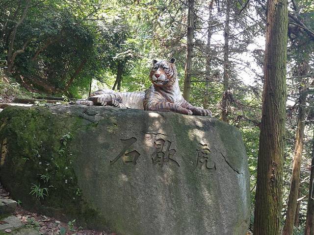 黑麋峰国家森林公园