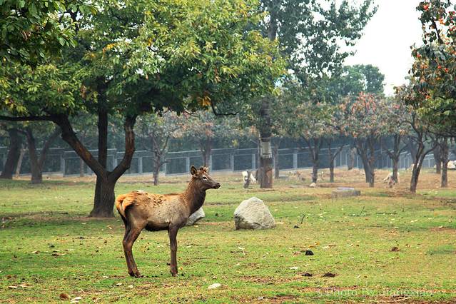 西安秦岭野生动物园