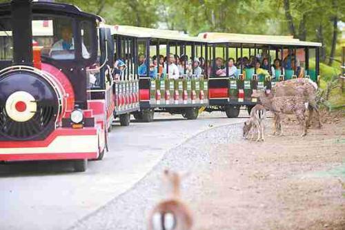 北京野生动物园自驾游览区