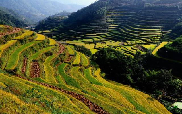 大塘梯田